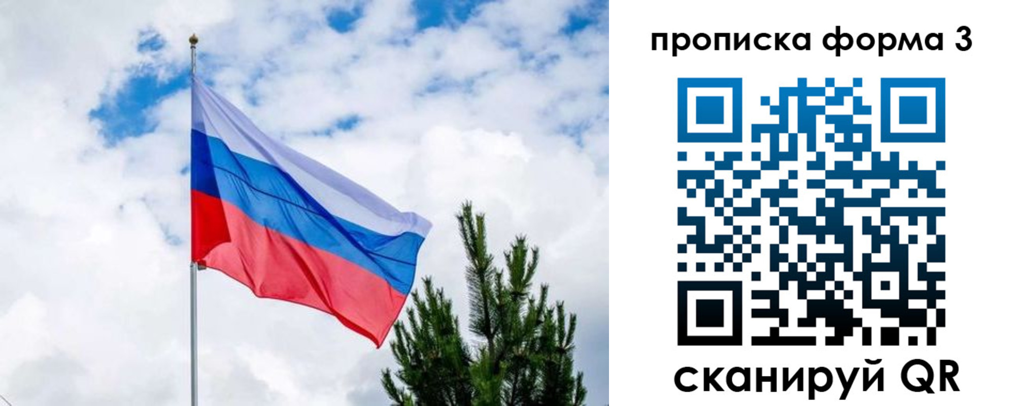прописка для школы в Ступино